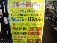 IMG_5378.jpg