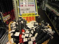 IMG_0255.jpg