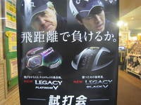 IMG_0233.jpg