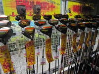 IMG_0316.jpg