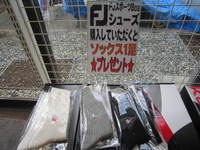 IMG_0808.jpg