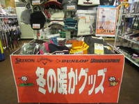 IMG_1023.jpg
