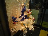 IMG_2463.jpg