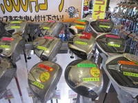 IMG_3827.jpg
