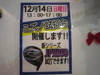 IMG_6394.jpg