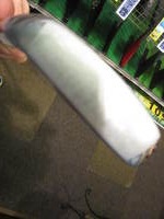 IMG_6788.jpg