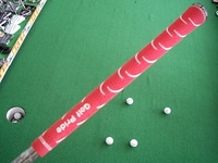 20110621 (1).JPG