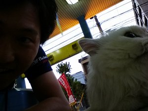 IMG_20150827_182808.jpg
