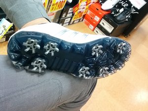 IMG_20150918_193122.jpg