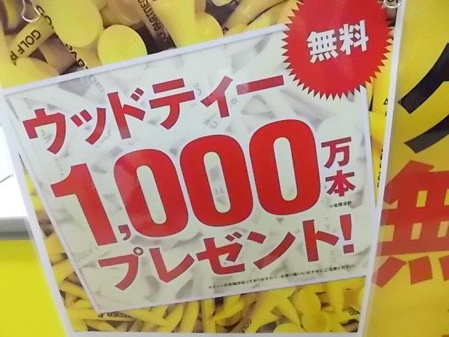 ♪ウッドティー1000万本プレゼント♪