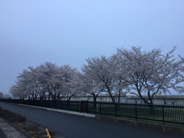 贅沢な休日