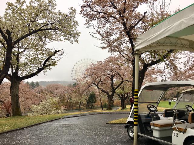 清々しい朝