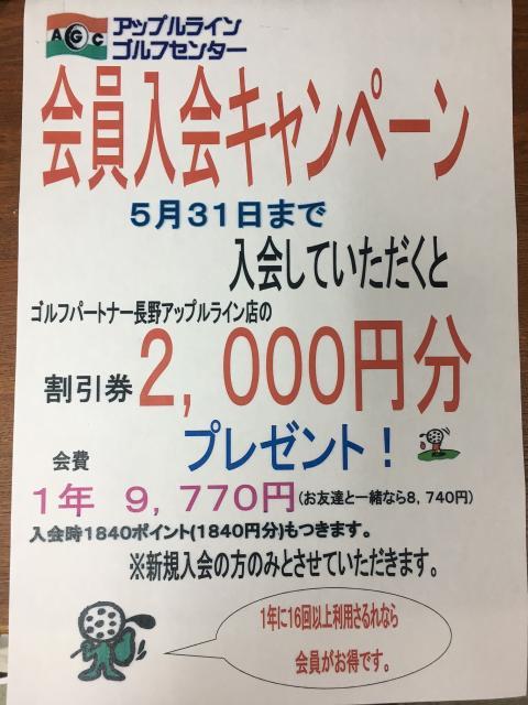 今でしょ!