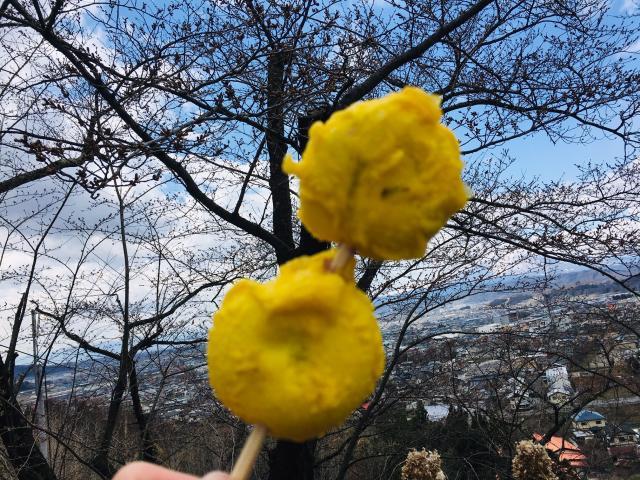 花より。。。
