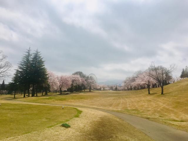 飛距離とスピン