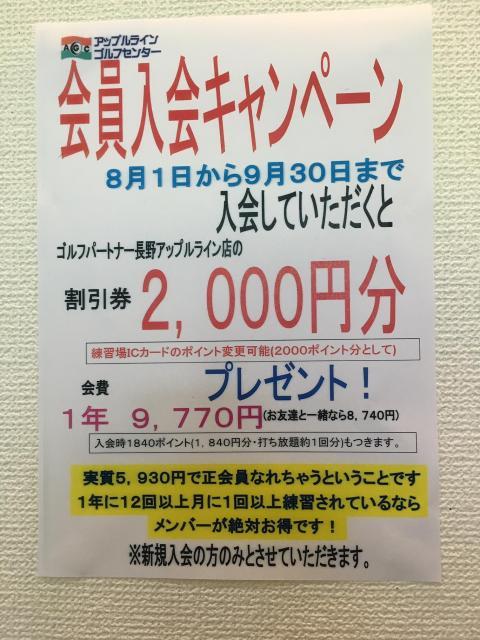 キャンペーン中