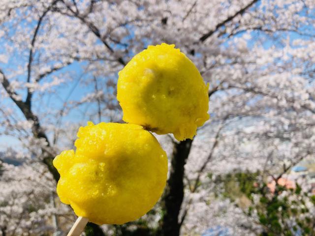 花よりパターより