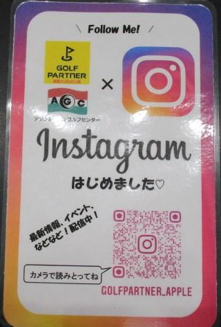 インスタと3匹の羊