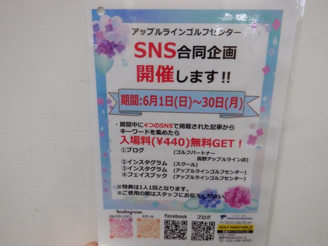 新企画