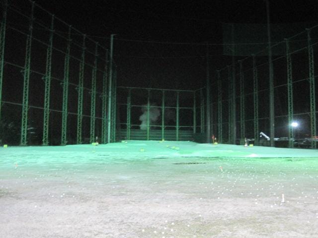 気分だけでも春