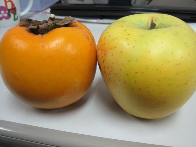 練習は裏切らない