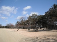 DSCF0238.JPG