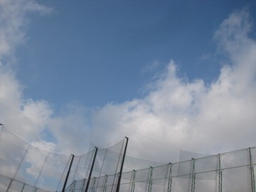 IMG_2599.JPG