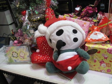 IMG_2620.JPG