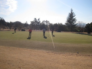 IMG_2893.JPG