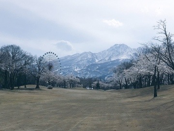 IMG_7503.JPG