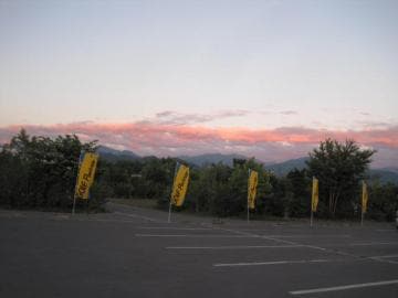 IMG_4781.JPG