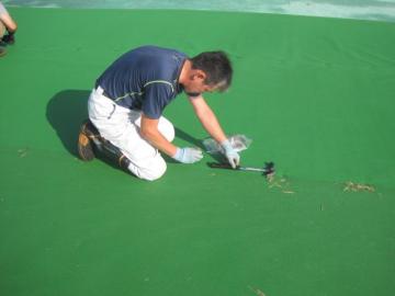 IMG_5040.JPG