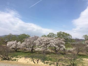20180406175741-585ece00cffb73623d3b993490f041cc3ef2699a.JPG