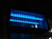 画像 21546001.jpg