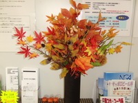 momiji (1).jpg