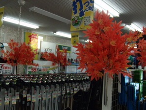 momiji.jpg