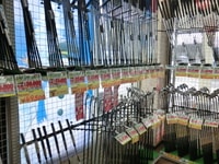CIMG0208.JPG