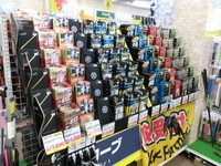 CIMG0231.JPG