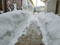 CIMG0234.JPG