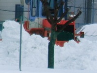 CIMG0235.JPG