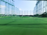 CIMG0257.JPG