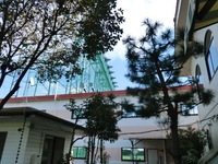 CIMG0265.JPG