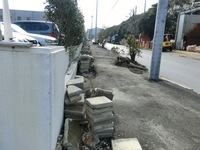 CIMG0268.JPG