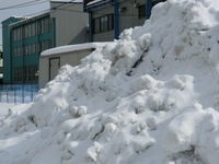 CIMG0274.JPG