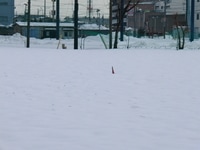 CIMG0282.JPG
