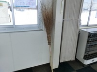 CIMG0284.JPG