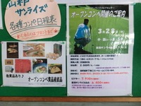 CIMG0308.JPG