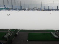 2013.1.jpg