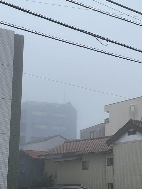 東海地方も梅雨入りです。