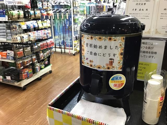 麦茶始めました(*'ω'*)